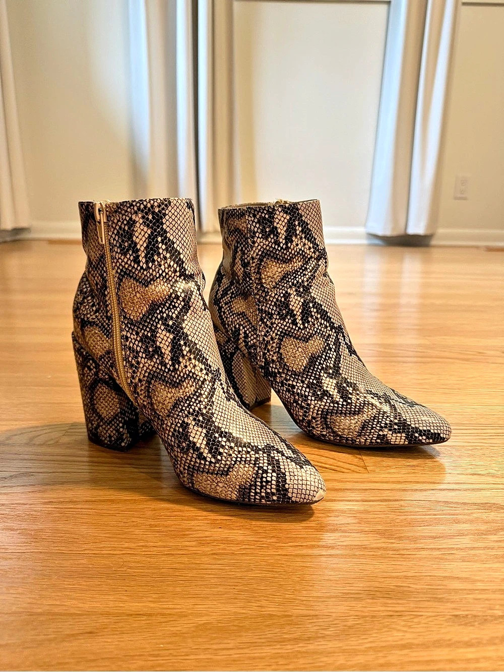 Steve Madden - snake print ankle boots - size 7 - Like New